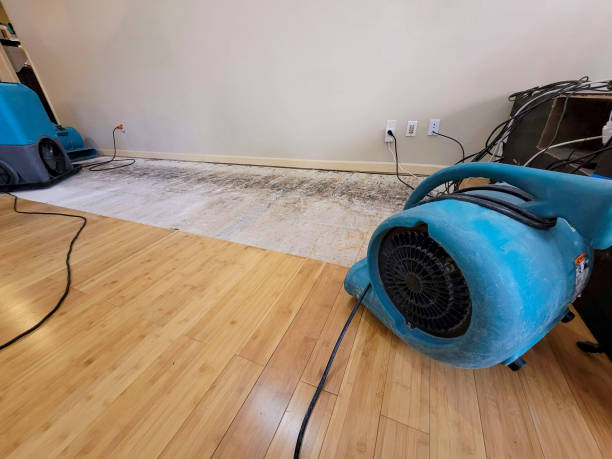 Reliable Basement Flood Cleanup contractor in Fairview, GA by Hirex Water Damage