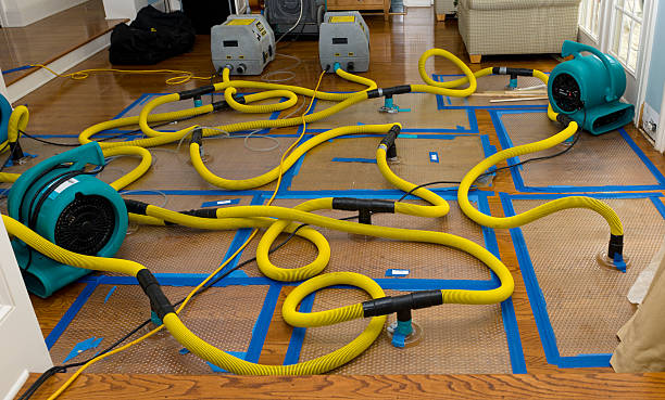 Professional Basement Flood Cleanup technician working in Fairview, GA